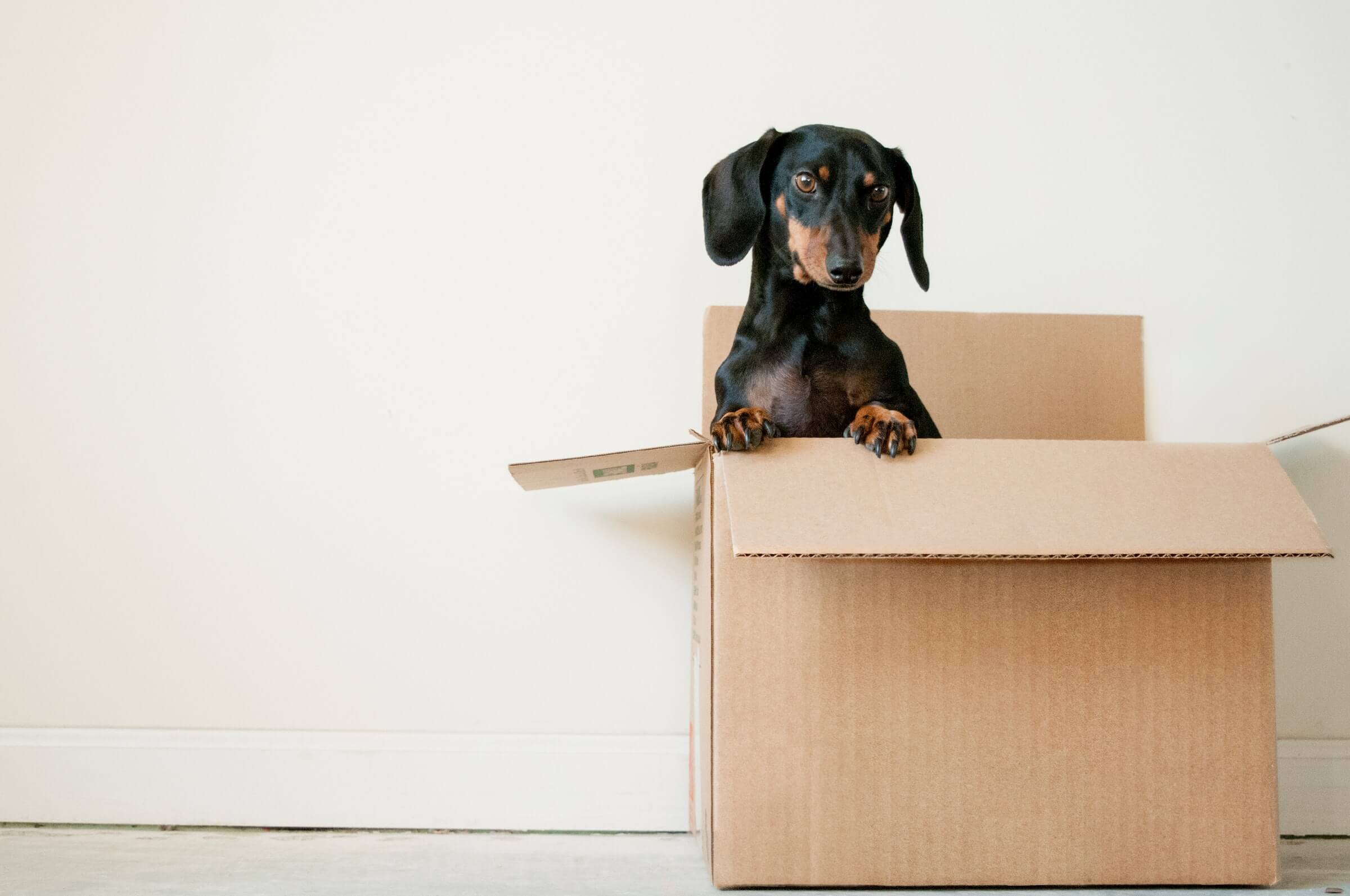 Move cleaning